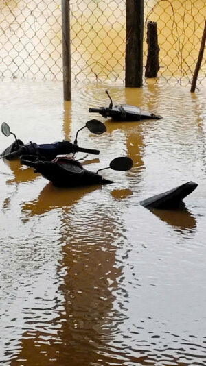 fb-422222558355253_1290864746417322