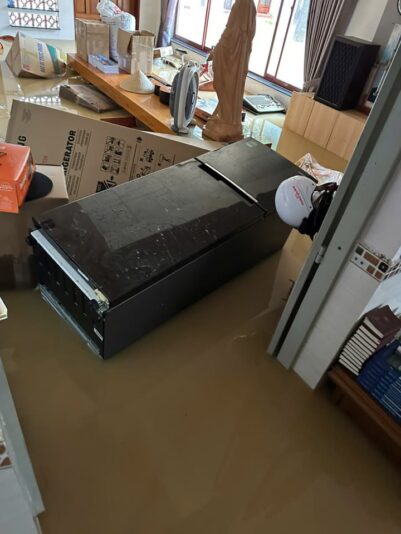 fb-422222558355253_1290863273084136