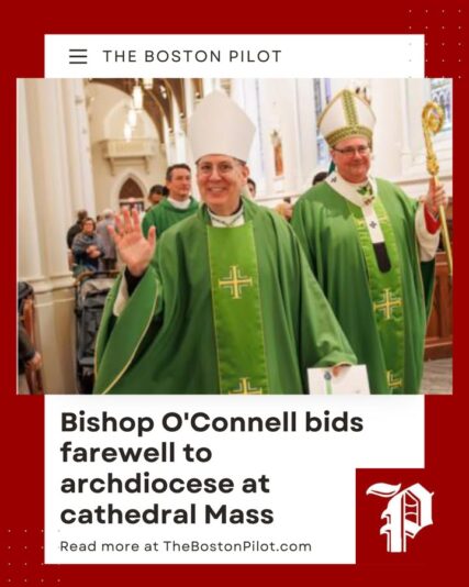 fb-254469157605_1252394070264711