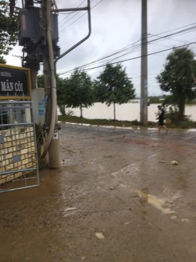 fb-422222558355253_1290861076417689