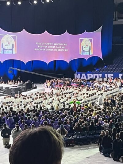 fb-147325878647167_1262153712617229