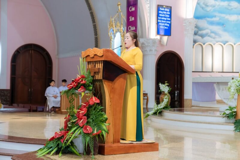 fb-161015470626458_1259082066255865