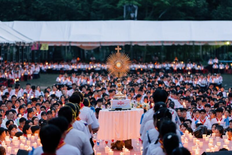 fb-585442494803518_1261790992652114