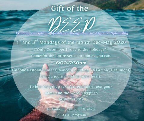 fb-147325878647167_1263005852532015