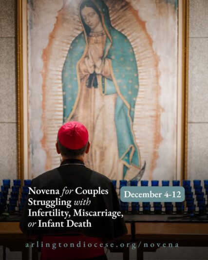 fb-162230245392_1307389188091667