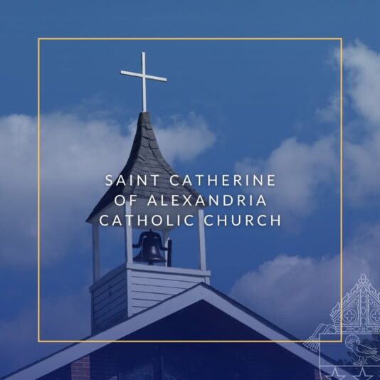 fb-1146610888716848_1299518852217337