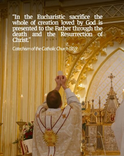 fb-249421551878973_1297356652426164