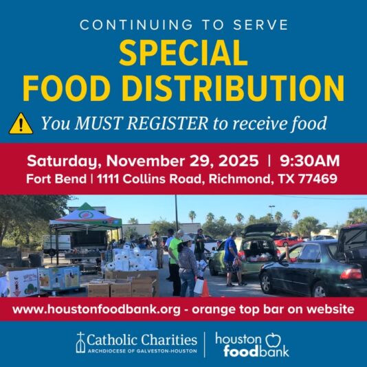 fb-178757502156824_1166362475636988