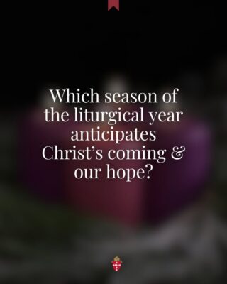 fb-134218149924080_1247346397421687