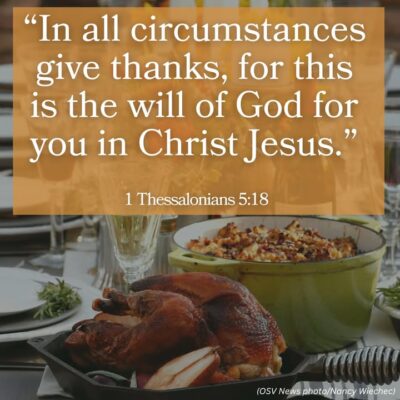 fb-313158165452988_1294393239399292