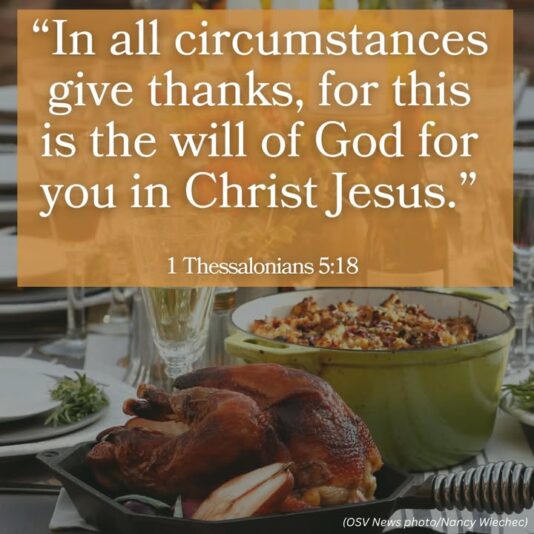 fb-313158165452988_1294393239399292