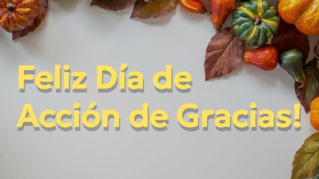 fb-267652796676847_1249067097256657