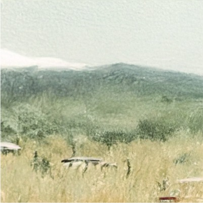 fb-420202814727180_1245983617562366