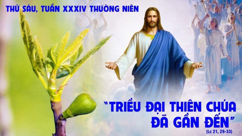 fb-585442494803518_1263364992494714