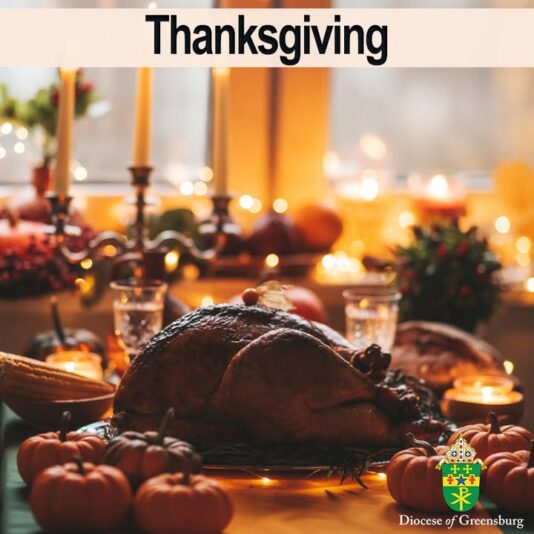 fb-178070992226049_1292127156283901