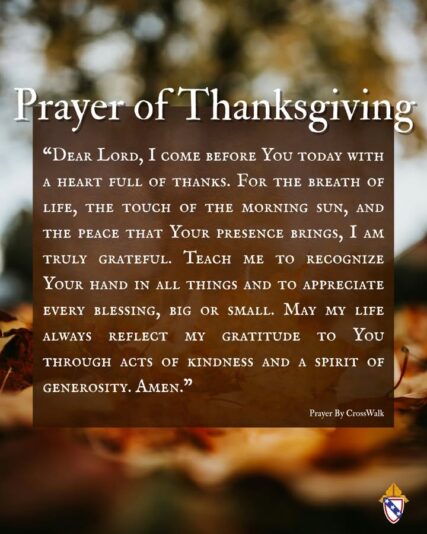 fb-168358359553_1203294275234344