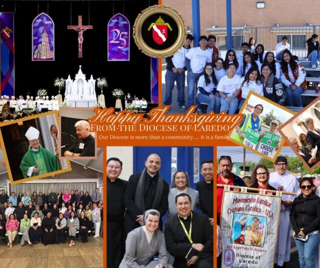 fb-117682098250535_1284109347095031