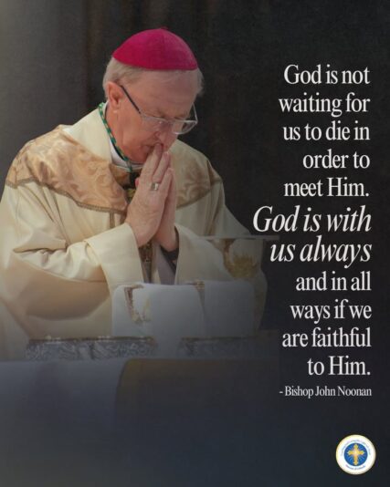 fb-216956945061_1283943500441680