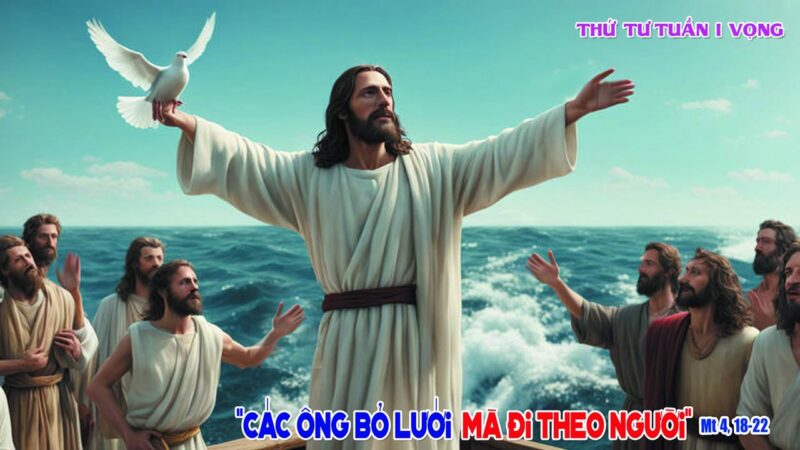 fb-585442494803518_1264003939097486