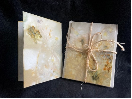 fb-115048641846447_1282805630555074