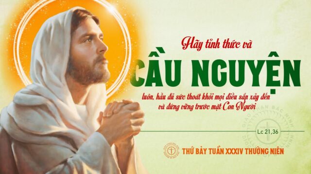 fb-732768673513037_1163822362541313