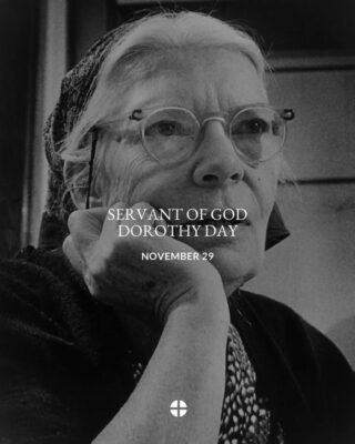 fb-101064066621857_1169291851993406