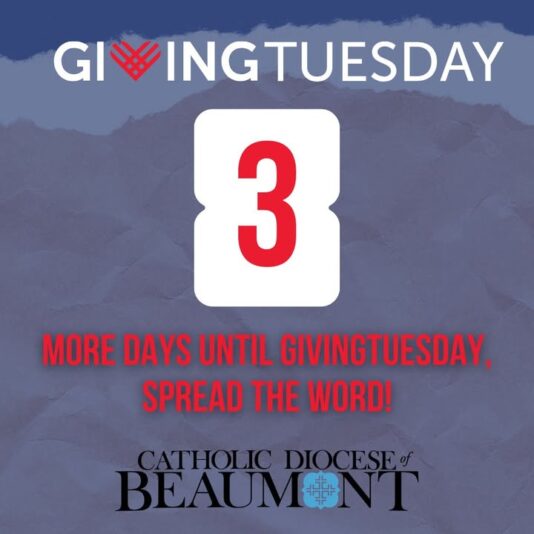 fb-147325878647167_1265983408900926