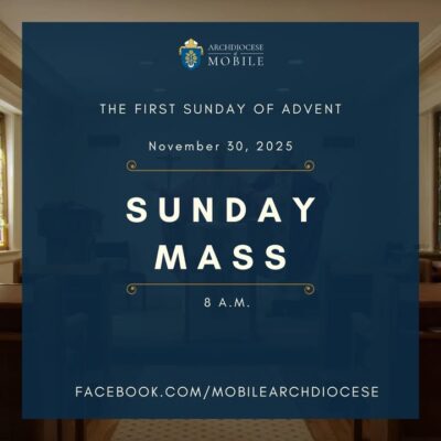 fb-1669188376658004_1487603426699315