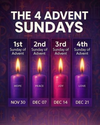 fb-147325878647167_1265975282235072