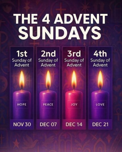 fb-147325878647167_1265975282235072