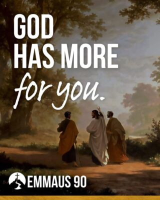 fb-355703527834405_1315268843977251