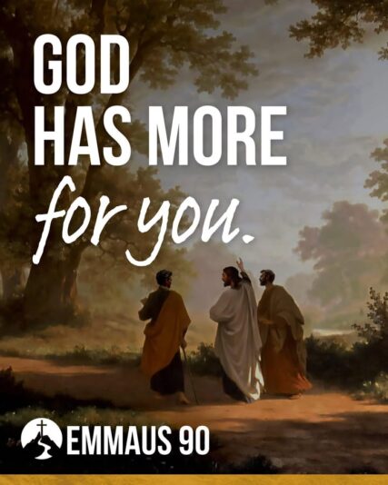 fb-355703527834405_1315268843977251