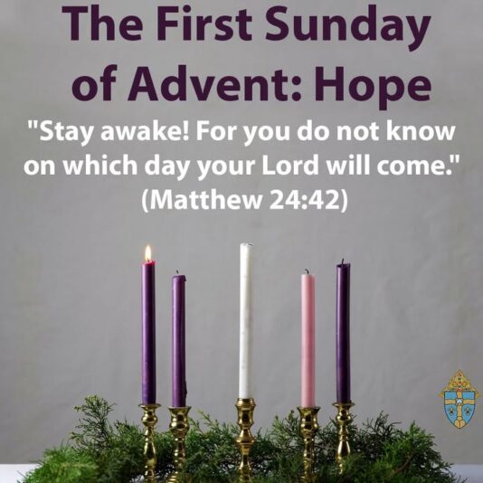 fb-267652796676847_1251442990352401