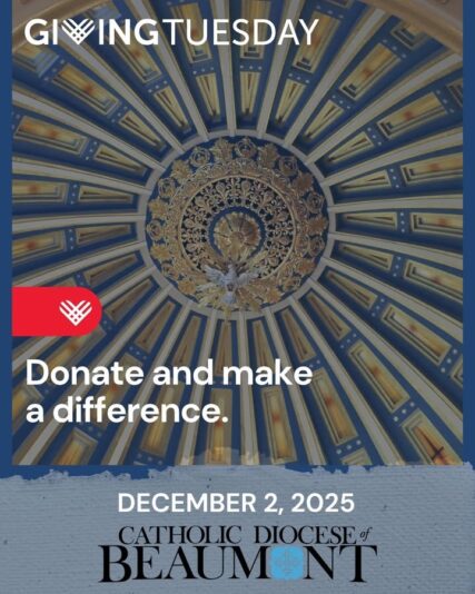 fb-147325878647167_1266630902169510