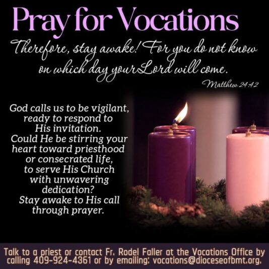 fb-147325878647167_1266594675506466