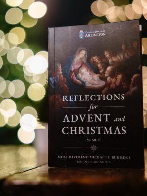 fb-162230245392_1310332227797363