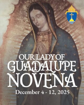 fb-254469157605_1256959073141544