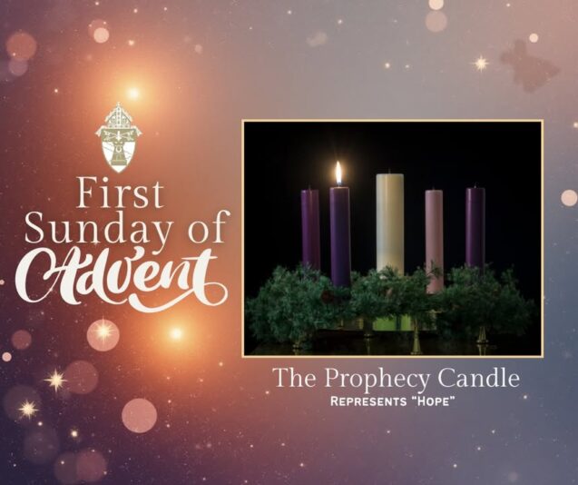 fb-149608895080801_1331702075663509