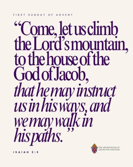 fb-178757502156824_1168983435374892