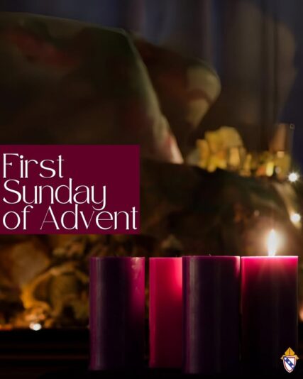 fb-168358359553_1205273125036459