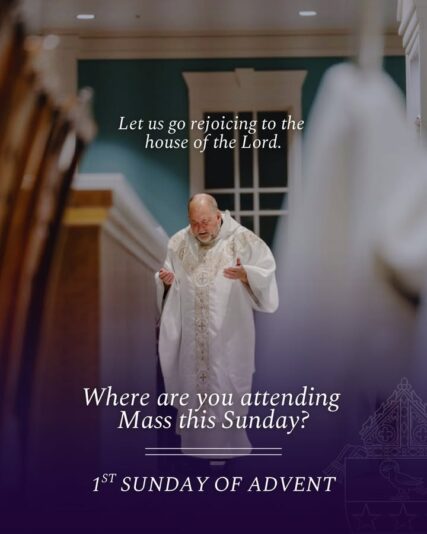 fb-1146610888716848_1303352658500623