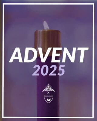 fb-162230245392_1310986121065307