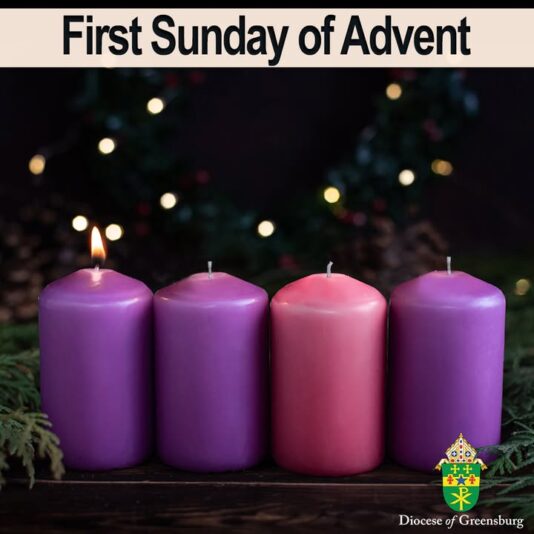 fb-178070992226049_1294311709398779