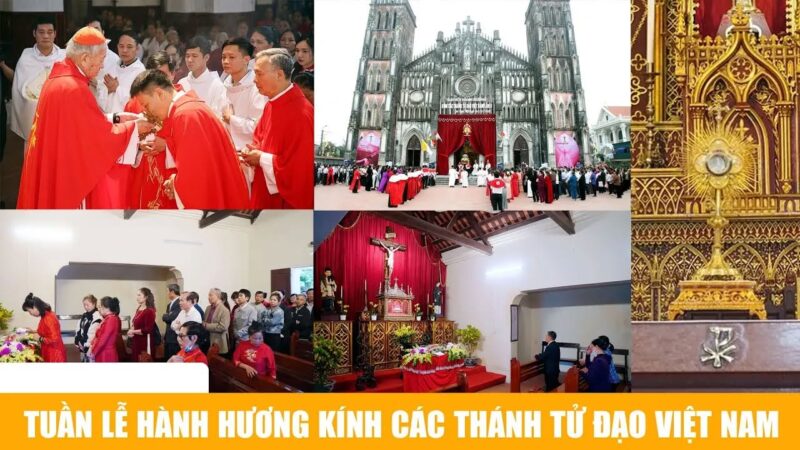 fb-1578851229095483_1258053633032542