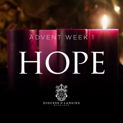 fb-210323997912_1249495420543101