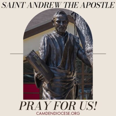 fb-1094082193990443_1307181551451645