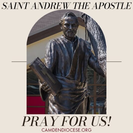 fb-1094082193990443_1307181551451645