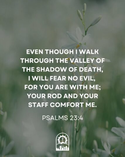 fb-289700111469457_1283528577154911