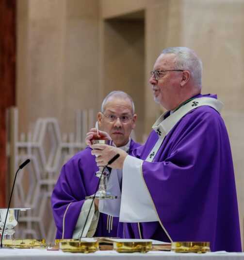 fb-424801330909662_1286346646852343