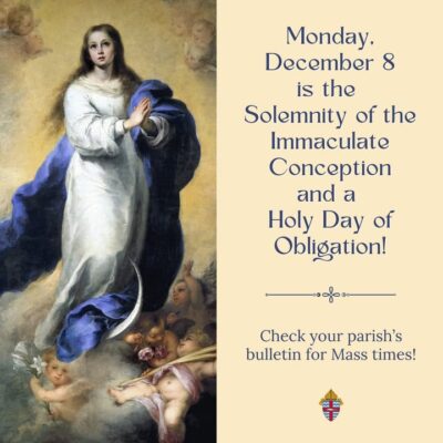 fb-194350237252996_1279124707576612